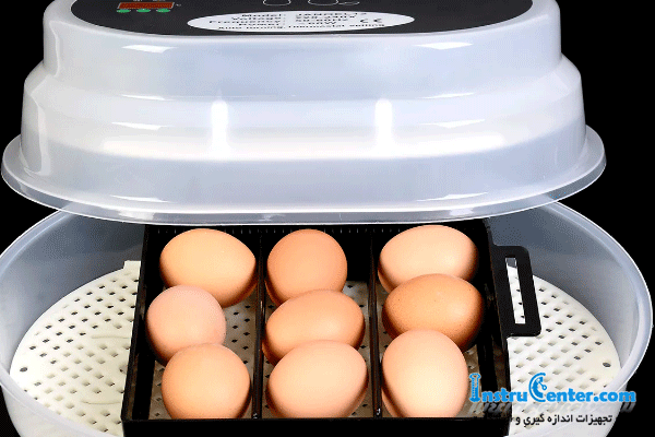 temperature control egg incubator 2