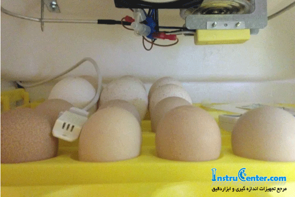 temperature control egg incubator 4
